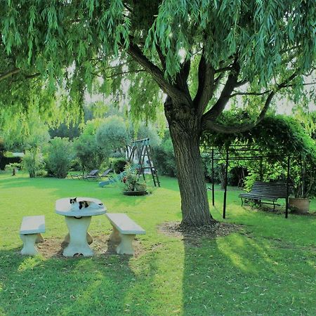 Domaine la Chamade Carpentras Exterior foto